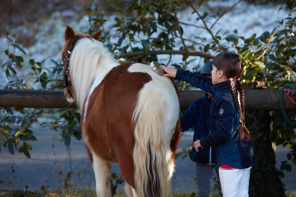 cavalière brossant un poney