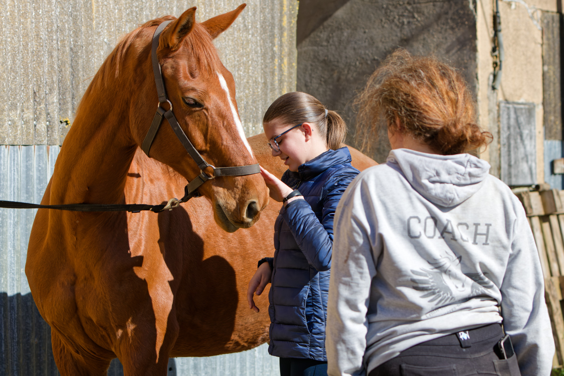 Cours particulier